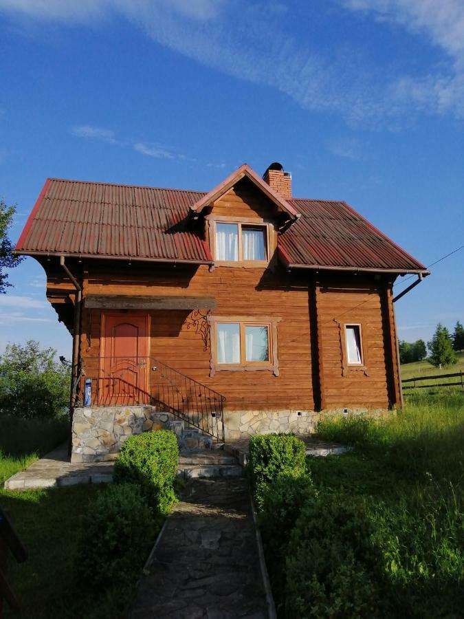 Polonyna Villa Verkhovyna Exterior photo